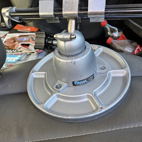 Shors - Picture 3 of 8